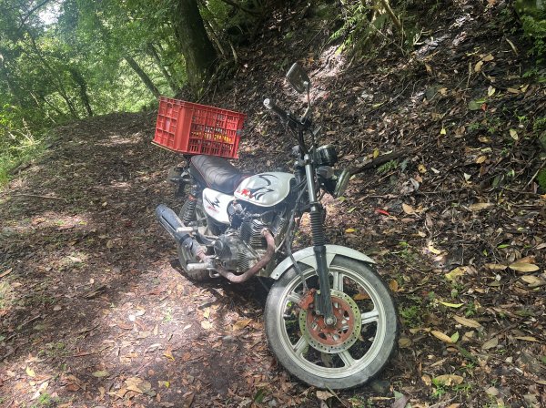 2025_0622 霞喀羅國家步道(石鹿端)2819527