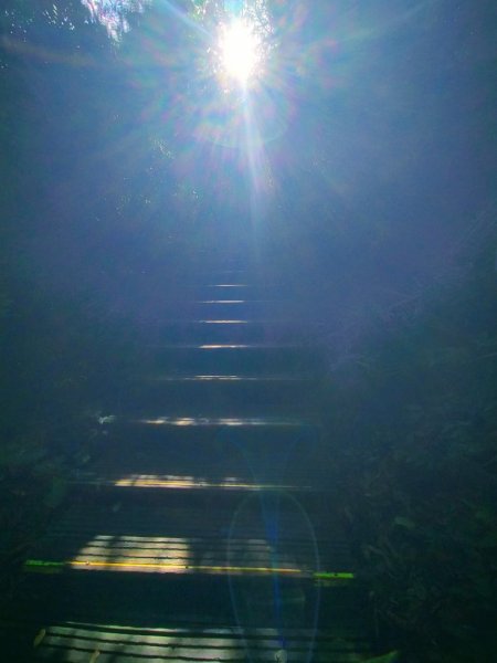 柴山/半屏山2858144