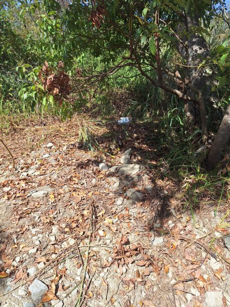 上谷關山202511202940874