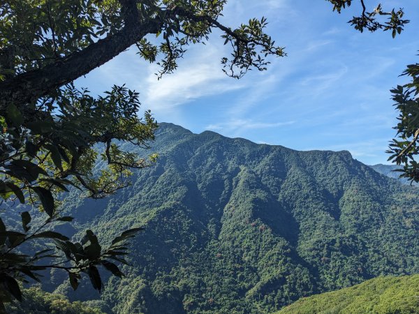 虎山加里山2606355