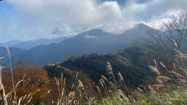 台灣山毛櫸步道。2021三訪之美不勝收1506803