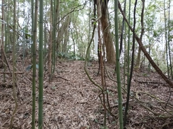 寶山鄉寶山水庫(寶山東峰+中峰+中西峰+西峰+西北峰)+尖山O型3012533