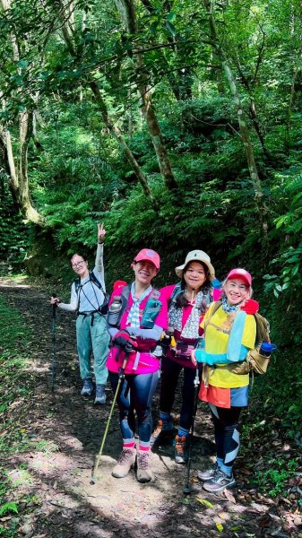 🌈7/5（日）東滿縱走（東眼山~滿月圓）FB：熊熊趴爬走(富裕登山社)🌈3082860