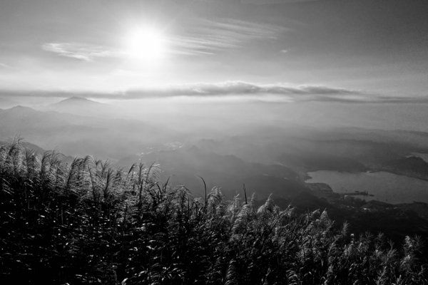 秋陽、金芒、基隆山464503