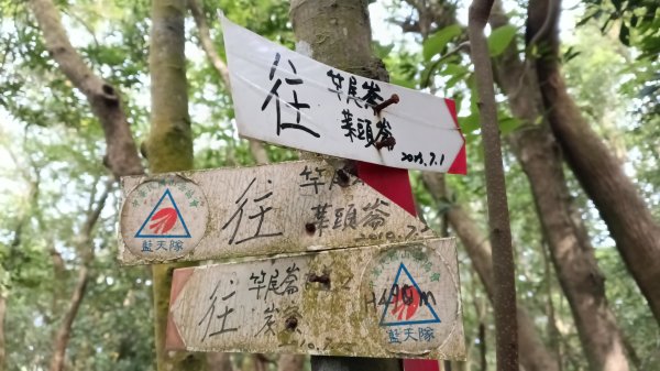 三芝區竿尾崙古道-竿尾崙-清涼崙-大屯溪古道O型3095659