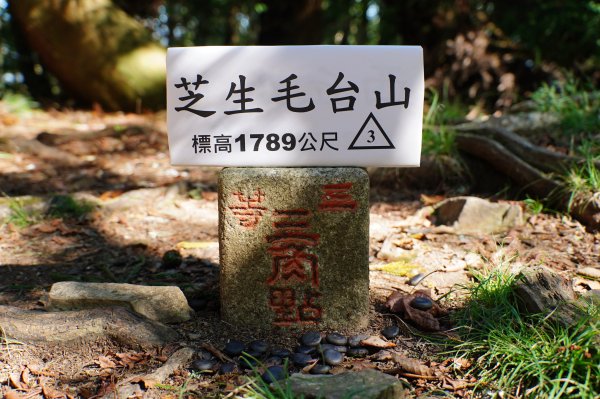 新竹 尖石 芝生毛臺山、虎禮山2903155
