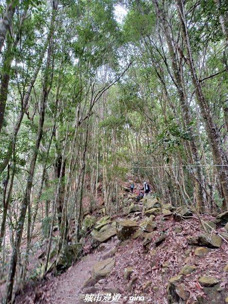 【台中和平】2022「谷關七雄，慢旅台中」登山活動認證。 就是一個陡字。 谷關七雄~波津加山登山步道1914448