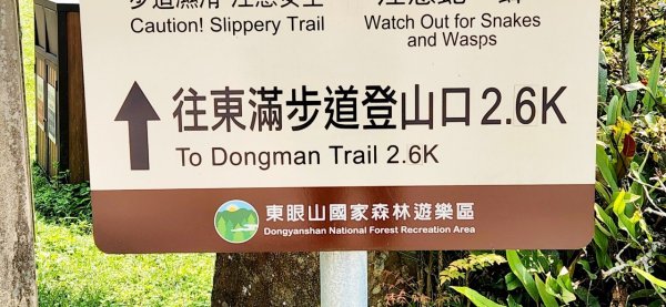 【中級山縱走】志繼山，東眼山，拉卡山，卡外山，東滿步道2742606