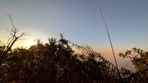 大橫屏山步道2977341