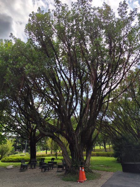 大安森林公園【走路趣尋寶】【臺北健走趣】2578232