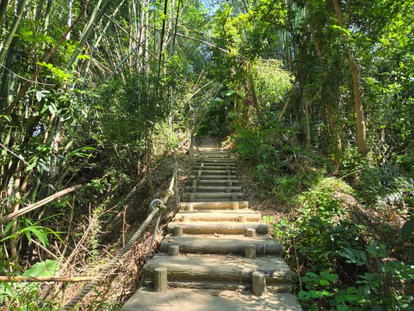 蘭潭後山步道、紅毛埤山（小百岳）2606386