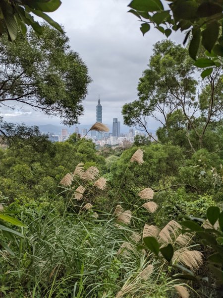 麟光至萬隆 南港山列 福州山 中埔山 芳蘭山1663778