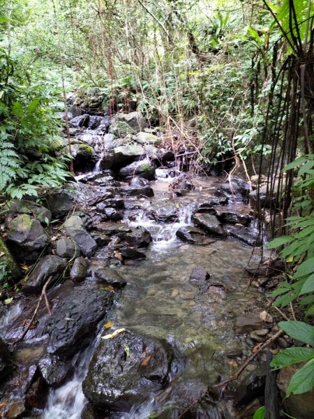 新店桂山路197巷-產業道路-幽靜山路-潺潺小溪-幽靜山路-原路折返2321881