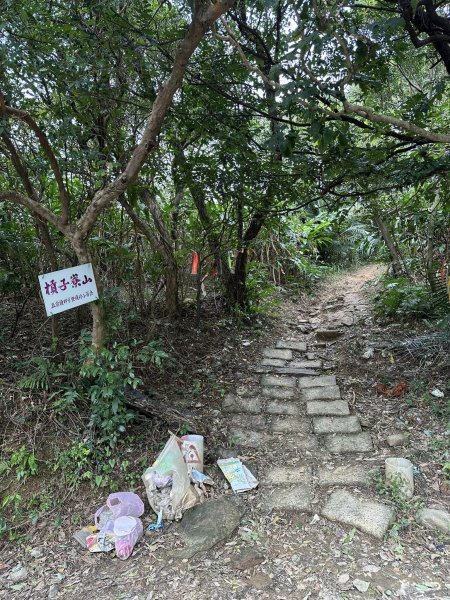 紅淡山步道&槓子寮山 / 小百岳No4&7/基隆2045272