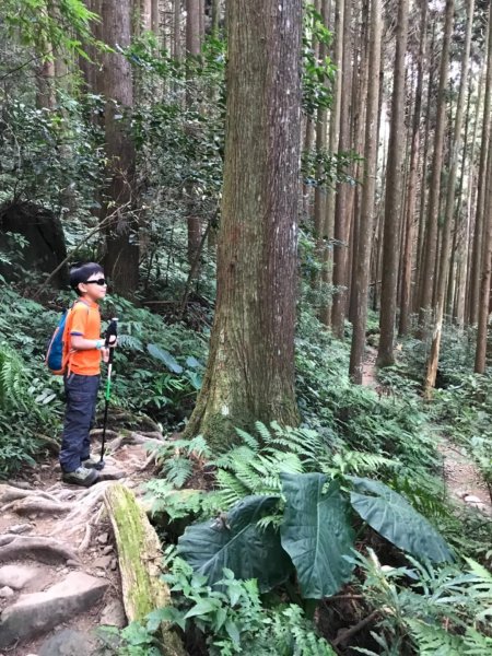 加里山鹿野線461357