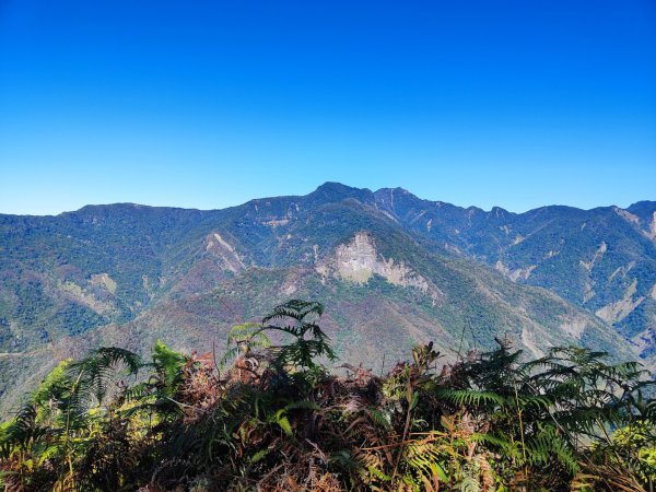泰安鳥嘴山（上島）2689343