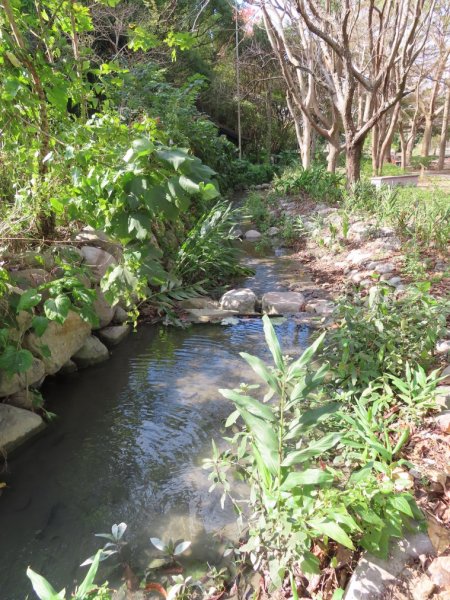 泰安登山步道‧隘勇古道‧巡圳道O形輕鬆走2007506