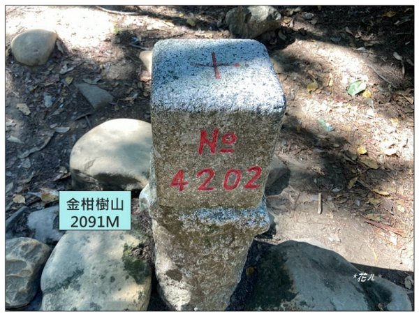 嶺頭山、金柑樹山、忘憂森林 O型一圈