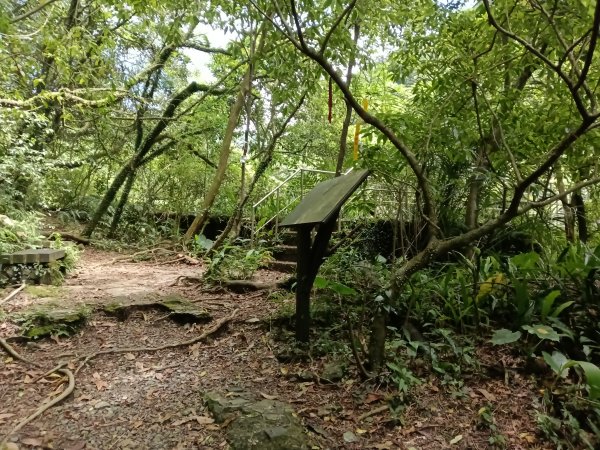 雙溪區淡蘭山徑-燦光寮古道+貂山古道O型2774871