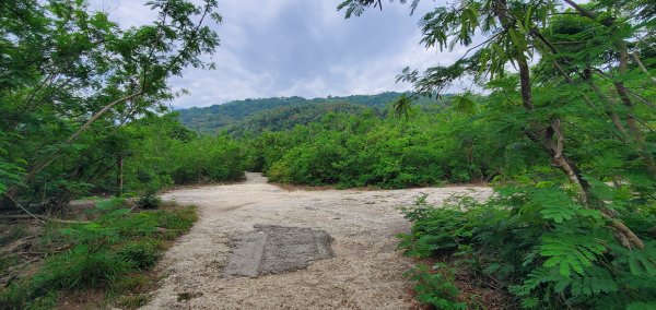 2024-05-18北柴山登山步道2507867