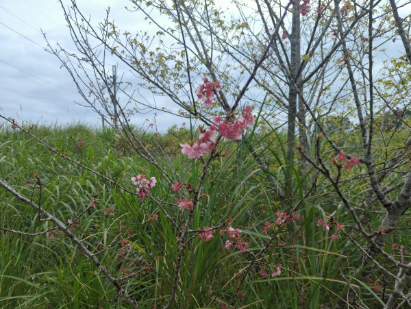 2025.02.27－月眉山2727901