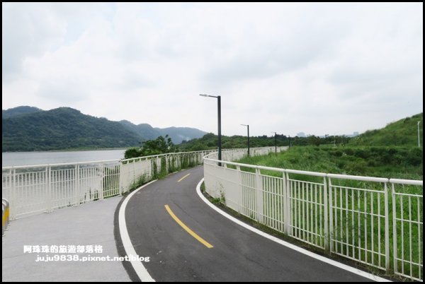 大溪左岸自行車道｜中新里韭菜花海超浪漫｜1101573