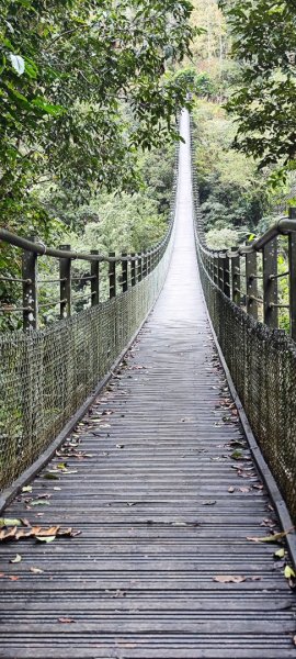 花蓮瑞穗．富源國家森林遊樂區景觀步道202602203013187