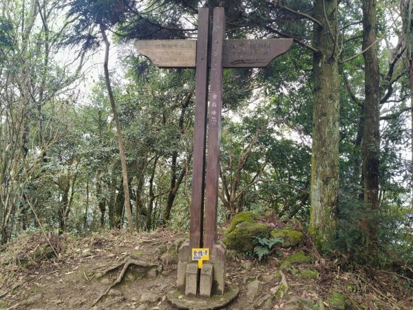 五指山走春3009577