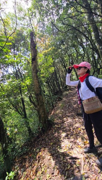 志繼山.東眼山.卡外山O型2090635