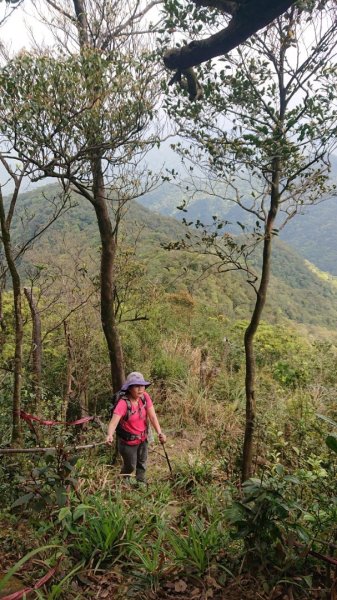 胡桶古道、梳妝樓山Ｏ走2461685