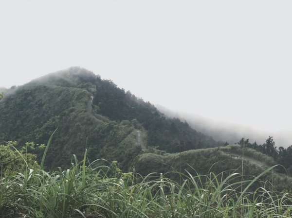 20200411-五分山步道914470