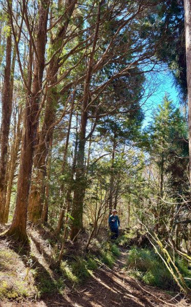 三星山(小百岳#85) 鳩之澤溫泉煮蛋趣2953230