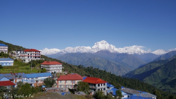 尼泊爾/ Poonhill 欣賞雪山的路途 Day3