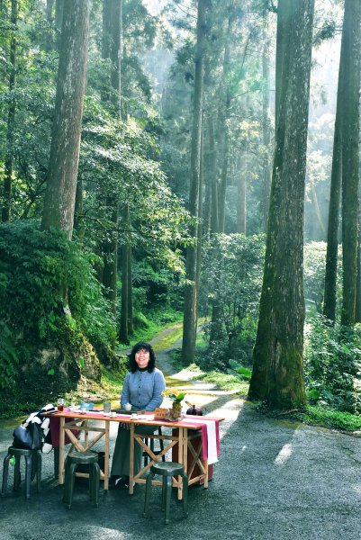 2026.02.07~02.08阿里山健行 & 阿里山石棹森林茶席(嘉義/登山/JRJ紀錄分3010638