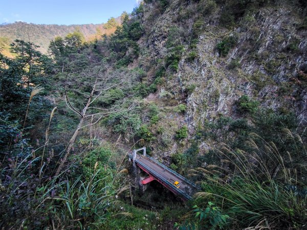 2025-02-07 北港溪峽谷步道2708335