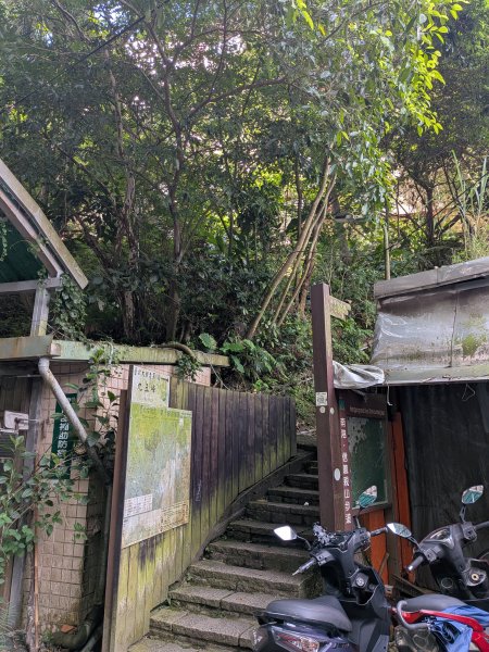 2025-06-01 五進五出九五峰2804163