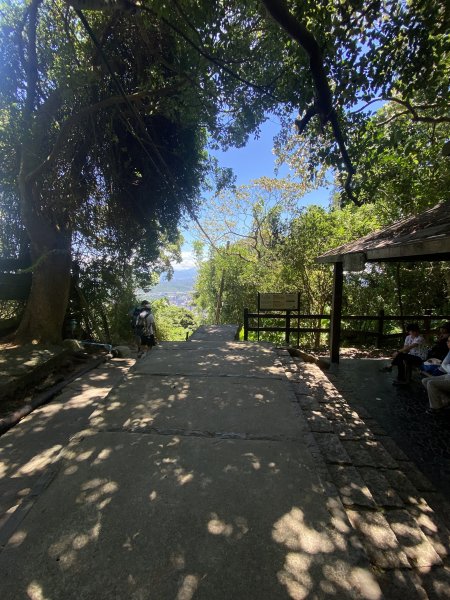 《陽明山秘境健行｜翠峰瀑布 × 天母古道 夏日涼爽路線》2852236