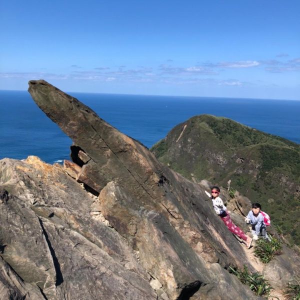 1070311 黃金五稜-劍龍嶺285363