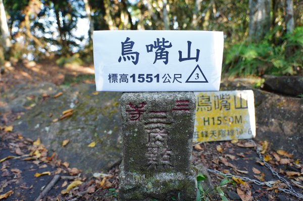 新竹 五峰 鳥嘴山、大窩山2956860