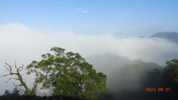 石碇二格山&雲海山&十三股山雲霧飄渺，差強人意雲海+觀音圈2256966