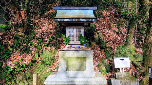 織田信長的天下夢2980805