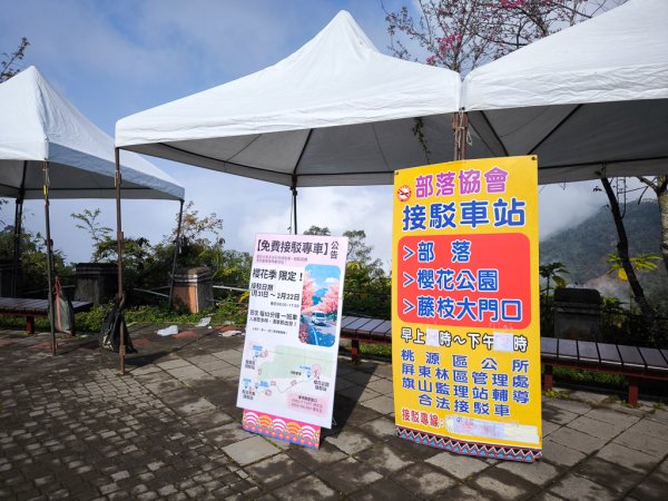 2026-02-08 藤枝山2998419