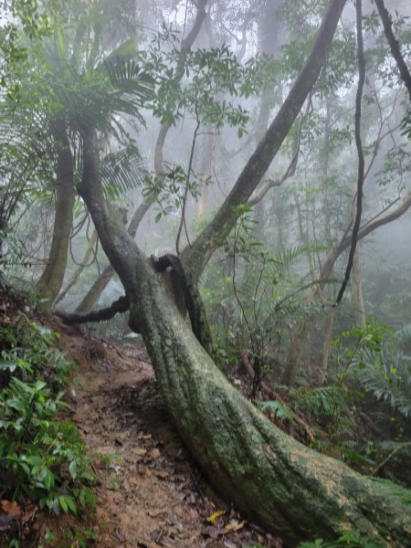 112.02.09 苗栗-獅頭山2025723