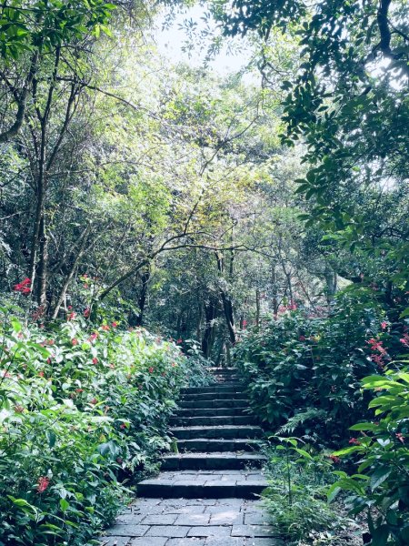 20261009 菁苗步道（苗圃登山口-菁山自然中心-前山公園）3133896