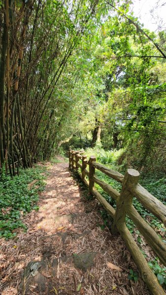 中正山環型步道2109290