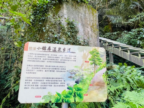 1141117小錦屏步道2946832