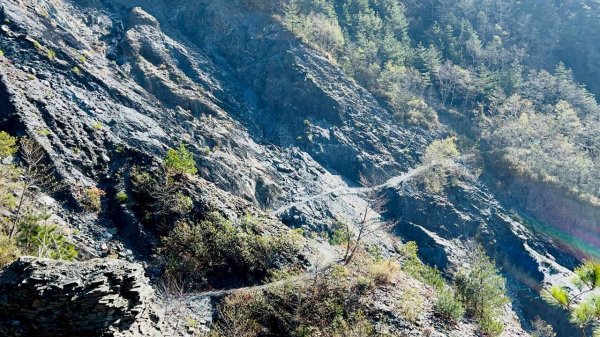 🌈2/26（五）-27（六）黃金大草原~奇萊南華2日✨FB：熊熊趴爬走🌈3008196