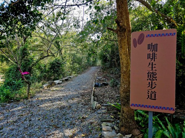 德文山步道(觀望山)-2024屏步青雲 尋寶任務2681826