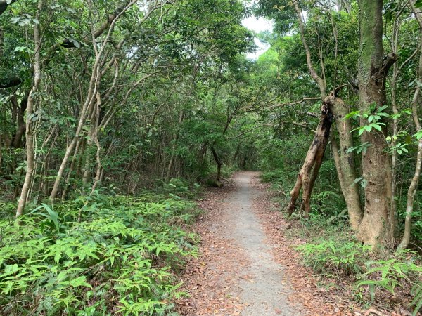 大崙頭尾山親山步道2767177