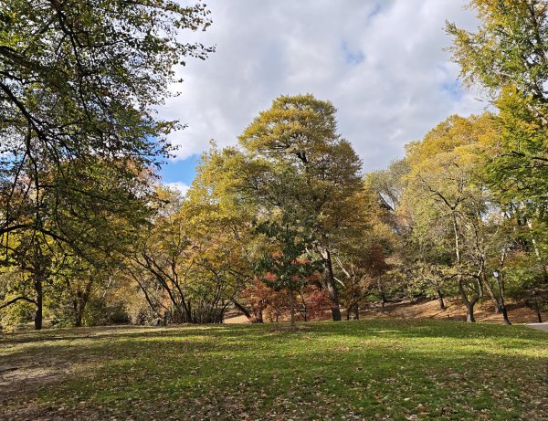 [紐約馬之行-11] 2025_1101 中央公園-畢士大露臺2945104